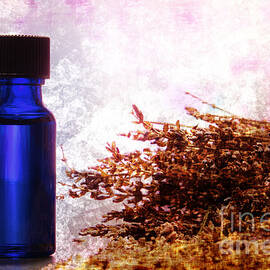 Lavender Essential Oil Bottle by Olivier Le Queinec