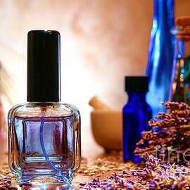 Lavender Shop by Olivier Le Queinec