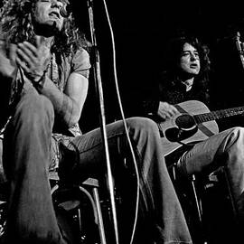 Led Zeppelin by Georgia Clare