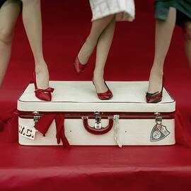 Legs Of Models Standing On A Suitcase by Sante Forlano