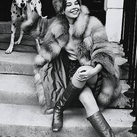 Leslie Caron Wearing A Fox Coat by Henry Clarke