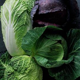 Lettuce by Romulo Yanes