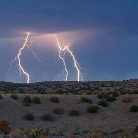 Lightning Dance over the New Mexico Desert by Mary Lee Dereske