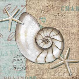 Linen Shells III by Paul Brent