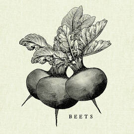 Linen Vegetable Bw Sketch Beets by Studio Mousseau