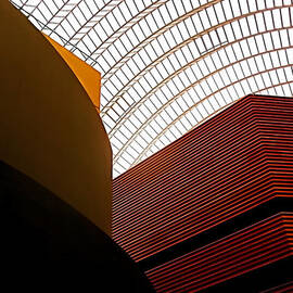 Lines and Light by Rona Black