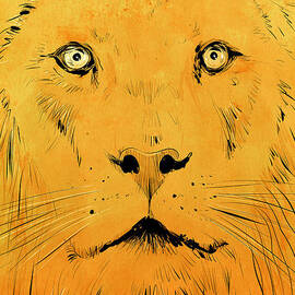 Lion by Giuseppe Cristiano