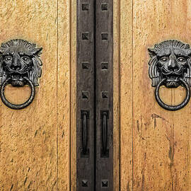 Lions Head by Kelley King