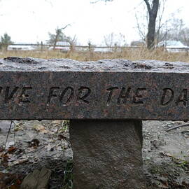 Live For The Day by Richard Reeve