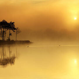 Loch Ard morning glow by Grant Glendinning