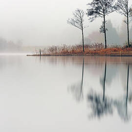 Loch Ard Reflections by Grant Glendinning
