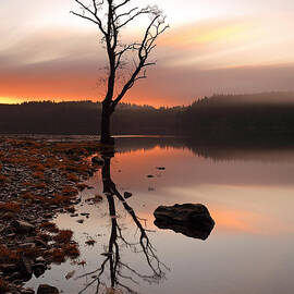 Loch Ard Sunrise by Grant Glendinning