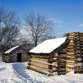 Log Cabins in Snow by Olivier Le Queinec