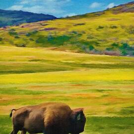 Lone Buffalo by Jeffrey Kolker