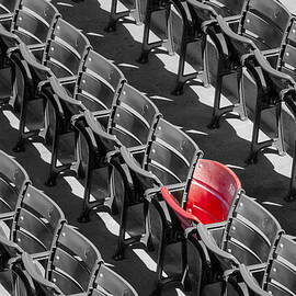 Lone Red Number 21 Fenway Park BW by Susan Candelario