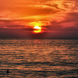 Lone Surfer - Cardiff By The Sea - San Diego - California by Bruce Friedman