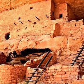 Long House Ladders by Adam Jewell