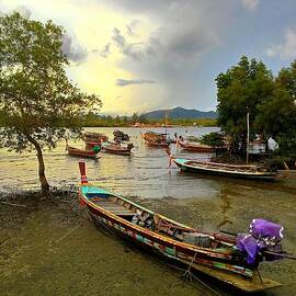 Longtails on Lanta by Georgia Clare