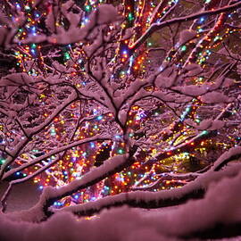 Longwood Lights 1 by Richard Reeve