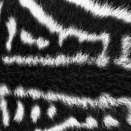 Looking Down Upon a Zebra by Mary Lee Dereske