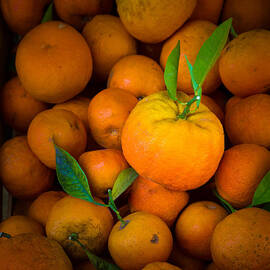 L'orange by Inge Johnsson