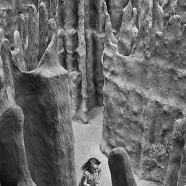 Lost in a Black and White Dream by Mary Lee Dereske