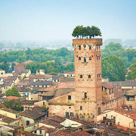 Lucca, Italy by Spooh