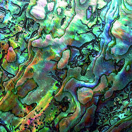 Luxury Background Of Blue Abalone Pearl by Elen11