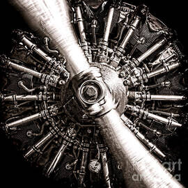 Lycoming  by Olivier Le Queinec