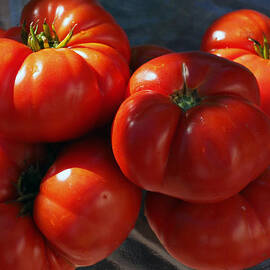 Lycopene Dreams by Joe Schofield