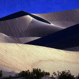 M E S Q U I T E D  by Joe Schofield