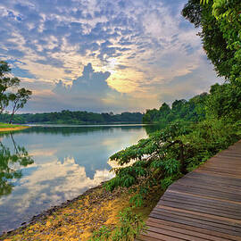 Macritchie Reservoir Park, Singapore by Photography By Spintheday