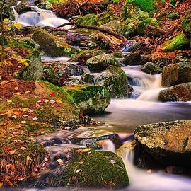 Madison Cascades by Jeff Sinon
