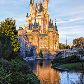 Magic Kingdom Castle by Bill and Linda Tiepelman