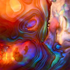 Magic Shell by Rona Black