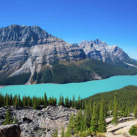 Magnificent Blue Waters Of Peyto Lake by Wan Ru Chen