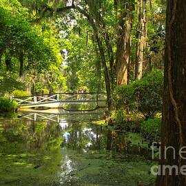 Magnolia Bridge In The Distance by Adam Jewell