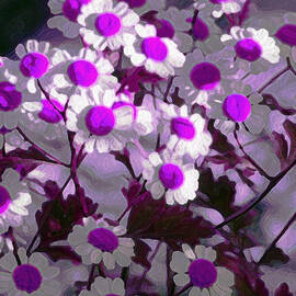 Making Sense of These Daisies by Joe Schofield