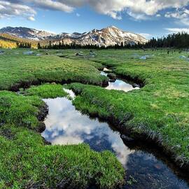 Mammoth Peak And Meadow by Tom Grubbe