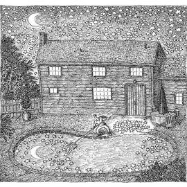 Man Fishes Stars Out Of His Pool At Nighttime by John O'Brien