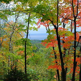 Maples Against Lake Superior - Tettegouche State Park by Cascade Colors