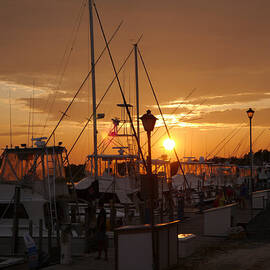 Marina Sunset by Richard Reeve