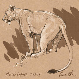 Masai Lioness by Aaron Blaise