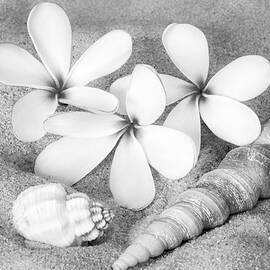 Maui Beach Treasures BW by Susan Candelario