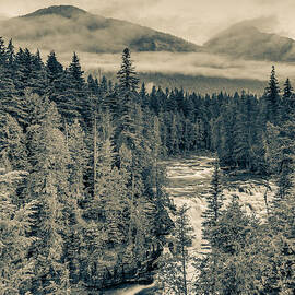 McDonald Creek Vertical by Adam Mateo Fierro