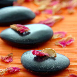 Meditation Zen Path by Olivier Le Queinec