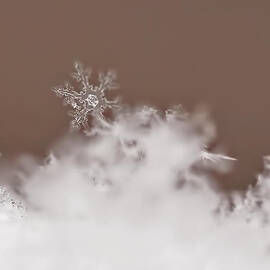 Melting Slowly by Rona Black