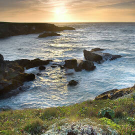 Mendocino Headlands State Park by Alan Majchrowicz