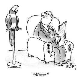 Meow by William Steig