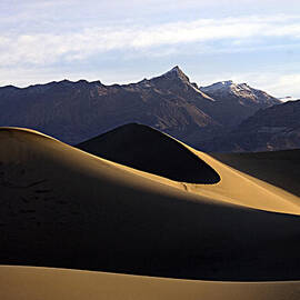 mesquite dunes at dawn by Joe Schofield